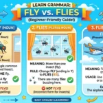 flys vs flies