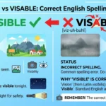 visible or visable